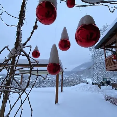 La Tana Del Grillo Bed & Breakfast